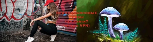 дживик Беломорск