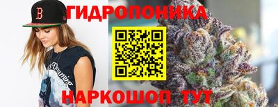 2c-b Гусиноозёрск
