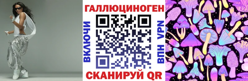 Псилоцибиновые грибы Cubensis  Камень-на-Оби 