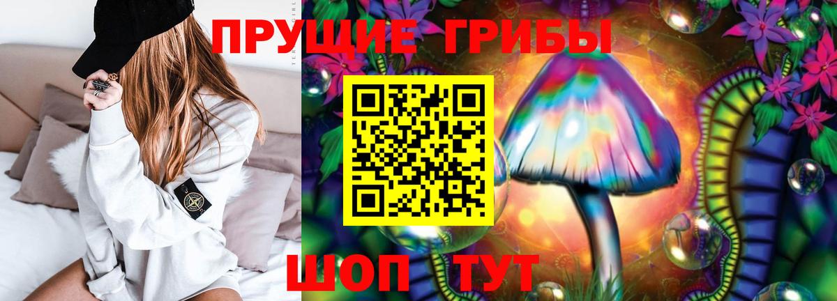 Камень-на-Оби  Галлюциногенные грибы GOLDEN TEACHER  Вход с VPN 